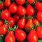 ANVIN Germination Les graines: 200 graines Bio, Poire Rouge Tomate Graines Graines