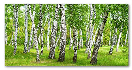 Tulup Leinwandbild - Wandkunst - Drucke auf Leinwand - Leinwanddruck -140x70 cm - Landschaften - Grün - Birkenwald