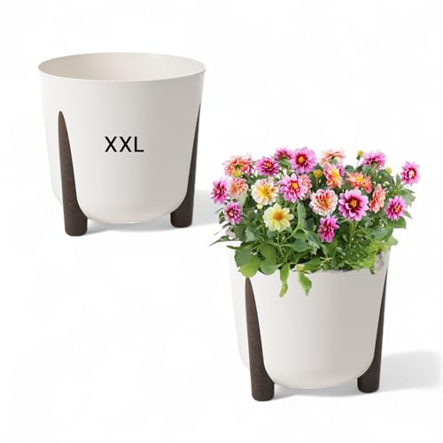 MELTOM Blumentopf mit Füßen Rund Übertopf Pflanztopf XXL - DxH: 34 x 32 cm (CREMIG)