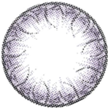 Matlens – EOS Farbige Kontaktlinsen ohne Stärke violet lila Big eyes NABI 2 Linsen 1 Kontaktlinsenbehälter 1 Pflegemittel 50ml FBA
