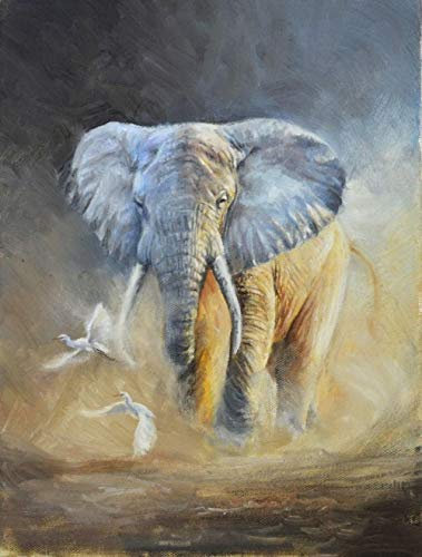 XCSQTYMY Malen Nach Zahlen Erwachsene Kinder Anfänger Bunter Elefant DIY Paint by Numbers Handgemalt Ölgemälde Auf Leinwand Malen Nach Zahlen Kits
