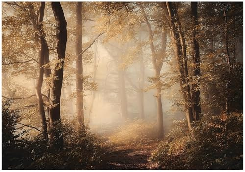 WallArena Vlies Fototapete, Wald, 350x250cm | Fototapeten - Tapeten - für Wohnzimmer Schlafzimmer - Vliestapete Wandtapete Tapete 3D Effekt- inkl. Kleister