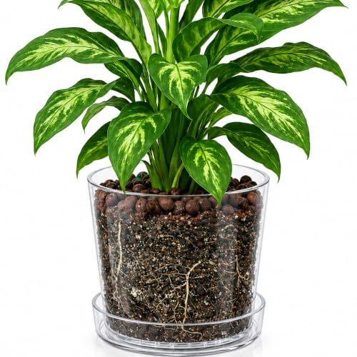 Phoenix Vine Maceta acrílica transparente de 10 pulgadas con bandeja, maceta para orquídeas con agujeros de drenaje, platillo profundo para riego inferior, recipientes transparentes para plantas de