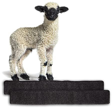 BigDean 2X Zugluftstopper für Türen 100cm - 100% Schurwolle - Anthrazit - Türluftstopper Luftzugstopper Windstopper - Made in Germany