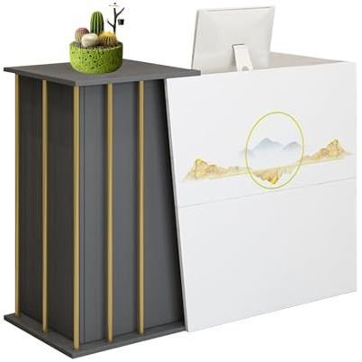 GAOXIAO Kassentheke Einzelhandel, Empfangstresen mit Schreibtisch, Empfangstheke Front Desk mit VerschließBarer Schublade, Kleine Rezeptionstisch für Salon Empfangsraum C 100 cm