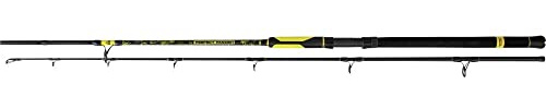 Black Cat Premium Welsrute Perfect Passion Boat Angelrute Wels Angeln Wallerrute Bootsrute 2,5m Wurfgewicht 400g