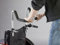 FabaCare Schiebegrifferhöhung für Rollstühle EasyPush, höhenverstellbare Rollstuhlgrifferhöhung, Komfort