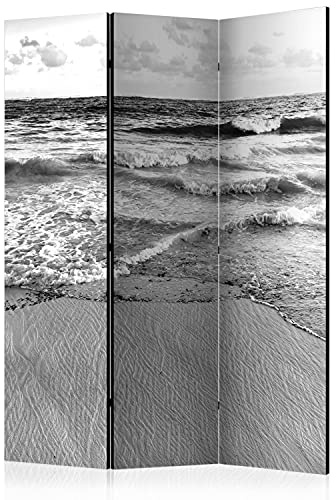 murando - Paravent Raumteiler Landschaft, 135x172 cm, 3-teilig, Wohnzimmer | Mobiler Sichtschutz, sofort einsatzbereit, Holzrahmen, ideal fürs Wohnzimmer oder Büro, geruchsneutral, lichtbeständig