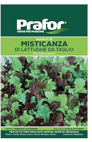 Hortus Semi prafor misticanza lattughe Taglio r/b BTS