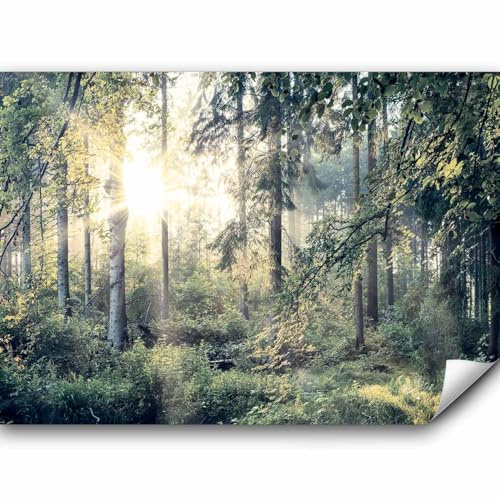 murando - Fototapete selbstklebend Wald, 490x350 cm, Schlafzimmer, Full HD | Selbstklebend ohne Kleister, Full HD Druck, ideal fürs Wohn- oder Schlafzimmer, schnelle Montage, lichtbeständig, geruchsfrei