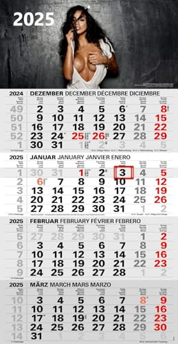 Sexy 4-Monatskalender Kompakt 2026 erotischer Bürokalender großer Erotik Wandkalender