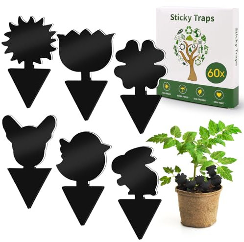 60 Piezas Trampa Moscas Fruta, Atrapamoscas Adhesivos,Trampas para Moscas,Trampa Atrapamoscas,Trampa Moscas Interior de Trampas Adhesivas contra Mosquitos de luto para Plantas de Interior