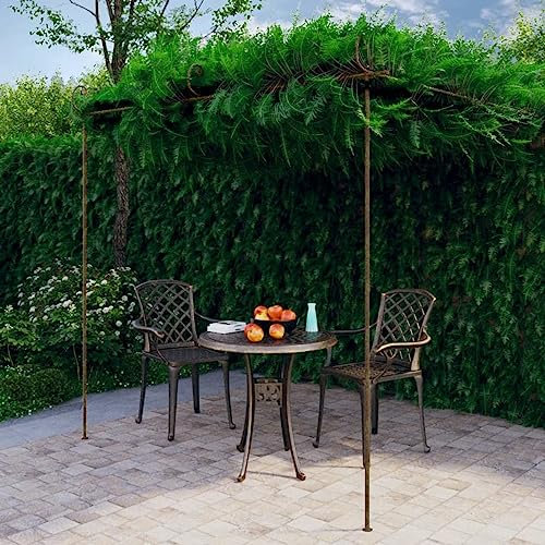 Pergola de jardin antique 3 x 3 x 2,5 m en fer forgé marron vintage, style romantique pour plantes grimpantes et roses, décoration extérieure, élégante tonnelle de jardin