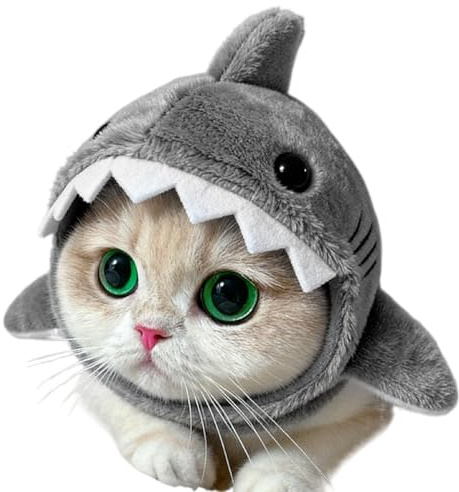 Katzen Kopfbedeckung, Mütze Für Katzen Lustig, Verstellbar Süße Plüsch Haiform Katzenhüte, Für Foto Requisite Haustiere Kurzvideos