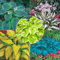 NVNJHJN.Hosta bulbo.Bulbo di hosta.Hosta planta.Perenne tolerante al frío.Rizoma hosta.-8 Rizoma-C