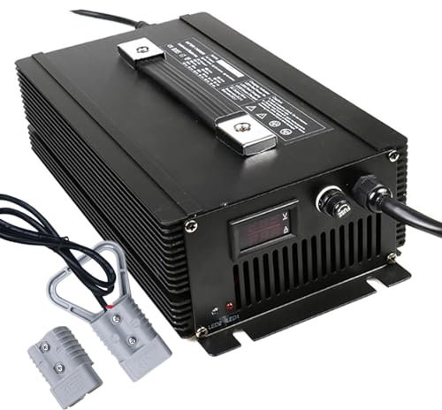 WLEJSL Chargeur Batterie Plomb 2000 W pour Chariot Élévateur Électrique 24V 50A avec Prise Anderson 50 A/120 A/175 A/350 A, pour Transpalette et Autolaveuse,A2,120A
