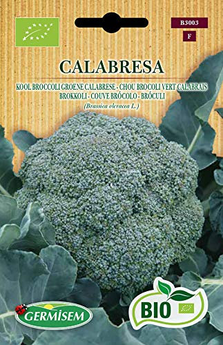 Germisem Bio Graines Chou Brocoli vert Calabrais CALABRESA