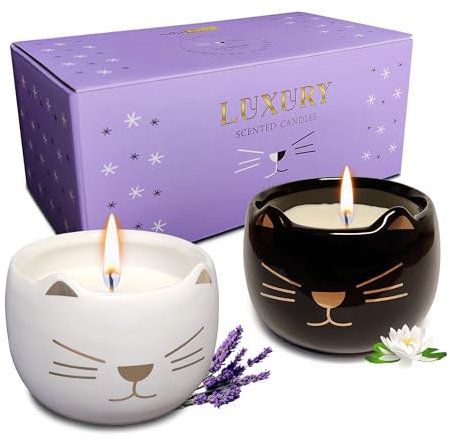 iubihome - Candele Decorative a Forma di Gatto, Set di 2 Candele Profumate in Confezione Regalo per la Decorazioni Casa