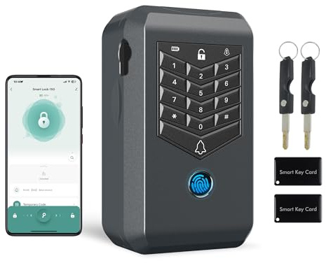 TenixLox Cassaforte per chiavi da parete, con collegamento di 5 m al campanello esterno, organizer per chiavi di casa, ufficio e casa, con tastiera di sicurezza, accesso alle impronte digitali e app
