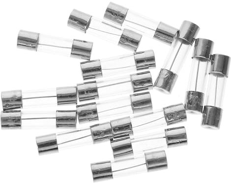 OKUMEYR 100 Stück Glasrohrsicherung 10a 250v Glassicherung Ersatz Für Weihnachtsbeleuchtung Auto
