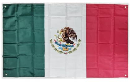 TrendandStylez Bandera de 90 x 150 cm, con ojales para mástil, resistente a la intemperie (México)