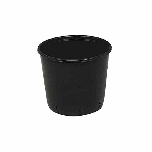 PANICK 1105054 Pflanzcontainer 50 l schwarz 51x32 cm