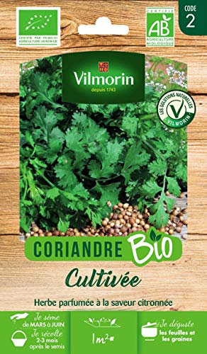Vilmorin - Coriandre cultivée Bio - Plante aromatique annuel - Herbe parfumée à la saveur citronnée -semences Issues d'une Culture Conforme aux règles de l'agriculture Biologique - Facile à cultiver