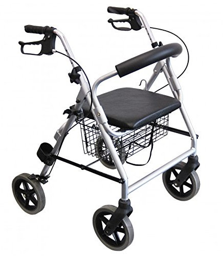 Trendmobil LR 56 oder LR 53 - Silber - Rollator - Aluminium - Erwachsener - 6,7 kg - PU-Bereifung - Faltbar - 77-90 cm Griffhöhe - 53 oder 56 cm Sitzhöhe - 120 kg Belastbarkeit