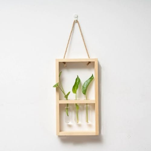 Reagenzglasvasen mit Holzstände Hängende Propagation Station Reagenzglasvasen Wandvase Holzregal Vase Glas Reagenzglas Für Hause Büro Wohnzimmer Küche (Holzfarbe - 3 Röhren)