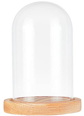 nbeads Deko Glasglocke mit Holzboden, Transparente Glasbox Glas-Display Klare Dekorative Glas Deko Vitrine mit Tablett für Valentinstag Ewige Rose Lichterketten Kuchen afelschmuck und Antiquitäten