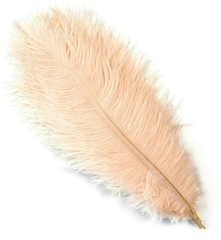Lot de 10 grandes plumes d'autruche blanches (15-60 cm) pour décoration de table, accessoires de fête et de mariage - Champagne - 55-60 cm