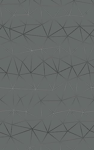 d-c-fix Möbel-Klebefolie Tico Silver grau Muster 67,5 cm x 2 m - Möbelfolie selbstklebende Deko-Folie Schrank folieren Dekorfolie geometrisch Art Deco modern