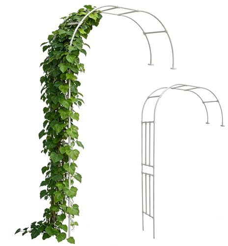 Demi Arche De Jardin Anti-Rouille, Arche De Jardin Demi-côté Élégante, Arche De Jardin Murale en Métal pour Rosiers Et Vignes, Treillis Tonnelle Pergola Extérieur, Multi-Tailles(Blanc,W210 x H240cm)