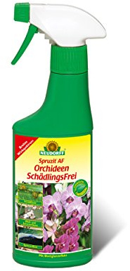 NEUDORFF Spruzit AF OrchideenSchädlingsFrei 250 ml