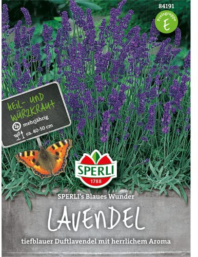 84191 Sperli Premium Lavendel Samen Blaues Wunder | Tiefblauer Duftlavendel | Mehrjährig | Lavendel Samen | Lavendel Saatgut