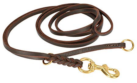 Dingo Gear Lederring Geöltes Hundeleine mit Griff, Länge 250 cm Breite 1,2 cm Messingbeschläge Ausstellung Leine handgefertigt Braun S03502