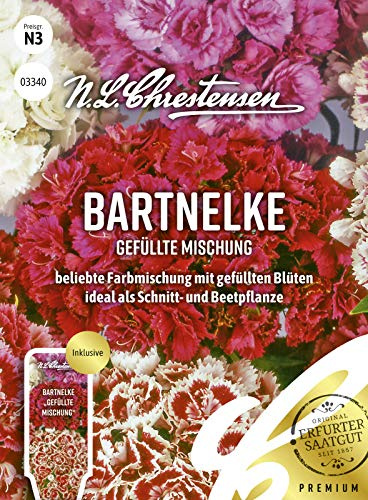 Bartnelke Gefüllte Mischung Samen, Saatgut