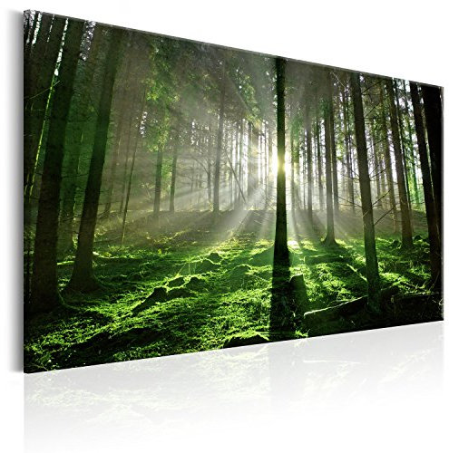 murando - Akustikbild Wald Panorama Bilder Akustikschaum Hochleistungsschallabsorber Schallschutz Leinwand 1 tlg Wandbild Raumakustik Schalldämmung Waldlandschaft c-B-0263-b-a