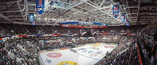 Mannheim Eishockey Arena Panorama – Poster – hochwertiger FineArtPrint (120 x 50 cm)