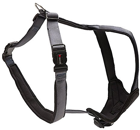 Wolters Cat&Dog Professional Comfort 62052 Geschirr Gr.2 40-45cm x 25mm graphit/schwarz
