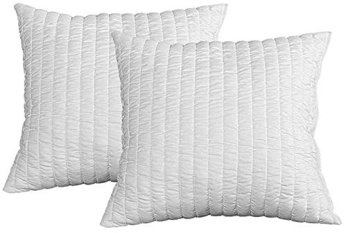 EVERGREENWEB - Cuscini Decorativi Divano Moderno 50x50 Coppia Guanciali per Letto in Fiocco Memory Foam da Arredo Casa o Esterno Alti 15 cm Imbottitura Morbida 100% Effetto Piuma Fodera Bianca OFFERTA