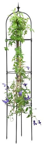 Obélisque de Jardin, grimpantes | Grille pour de Jardin pour Grimper | Support de Fleurs en Pot, Cadre pour Soutien de Jardin, Robuste pour Les clématites de Rose en Pot