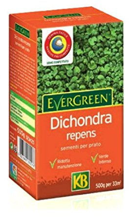 KB Semi Prato DICHONDRA REPENS CONFETTATA - SEMENTI per Tappeto ERBOSO 250GR