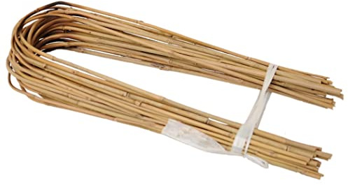 Dixiestore Gebogener Bambus Bambusstifte Natürliche - für Pflanzen Dekoratives Element Rankhilfe Clematis Efeu oder Orchideen Pflanzstäbe Stäbe - Größe 105 cm 10/12 mm Inhalt 25 Stück