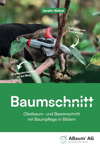 Baumschnitt, Obstbaum- und Beerenschnitt mit Baumpflege in Bildern von Serafin Weibel