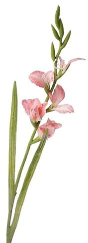HUFFA Künstliche Blume, einzelner Zweig, Gladiole, Tischdekoration, Kunstblume, Heimdekoration, Florale Hochzeit, Landschaftsbau (Color : pink)
