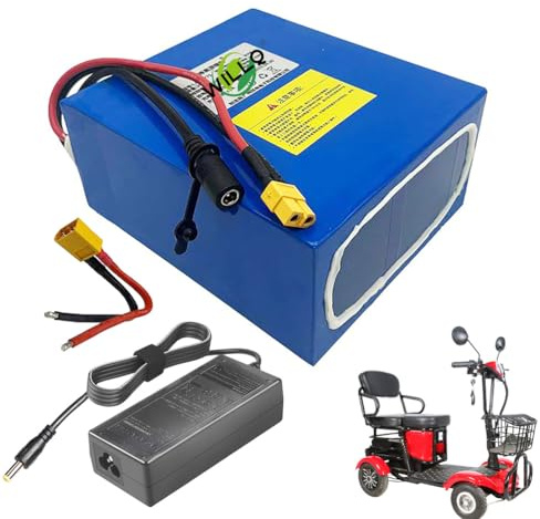 WILLQ 24 Volts Lithium Battery 24V 7.5AH 10AH 12.5AH 15AH 20AH 25AH Replacement Inside PVC Battery with XT60 Port for 0-600W Mobility Scooter Motor Kits,24V12.5AH