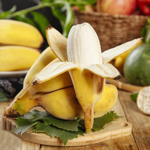 bananensamen bananenbaum winterharte garten kübelpflanzen bananen seltene säulenobstbäume anzucht grünpflanzen zimmerpflanzen zimmerpflanzen für sonnige plätze gartenpflanzen 100samen