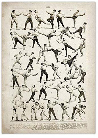Bilder,Poster Kunstdrucke,Jiu Jitsu Poster Boxen Wrestling Fechten Kampftechnik Diagramm Vintage Print Leinwand Malerei Schwert Säbel Cane Stick Baton,Gemälde - 30X40Cm