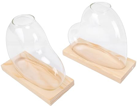 OPPWONG Vaso per Propagazione in Vetro a Forma di Cuore, Fioriera da Tavolo in Vetro su Supporto in Legno, Vaso per Piante di Ragno Pothos con Design Decorativo, Ideale per la Decorazione Domestica